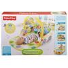 Fisher-price 3-in-1 Convertible Car Gym - 29.00 Fisher-price 3-in-1 Convertible Car Gym