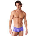 Gregg Homme Boy Toy Boxer Brief