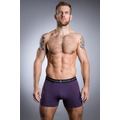 British Boxers Thistle Stretch Trunk