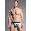 HOM Landscape Micro Brief