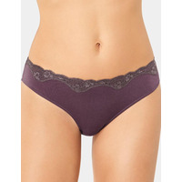 Triumph Touch of Modal Tai Brief