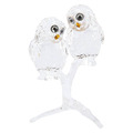 Click to view product details and reviews for Swarovski Feathered Beauties Owl Couple 5493722.