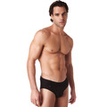 Gregg Homme Heaven Brief