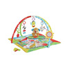 Fisher-price Puppy 'n Pals Learning Gym - 64.00 Fisher-price Puppy 'n Pals Learning Gym