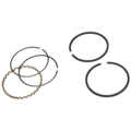 Click to view product details and reviews for Briggs Stratton Piston Ring Set 298985.