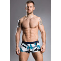 HOM Landscape Trunk
