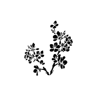 13 x 13cm Reusable Stencil - Blossom (1pc)