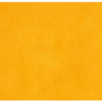 Deal Detail