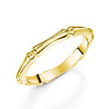 Click to view product details and reviews for Rox Cane Yellow Ring K.