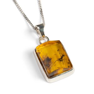 Genuine Baltic Amber With Insect Inclusion Necklace Natural Designer Gemstone 16 42cm