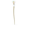 Click to view product details and reviews for Swarovski Garden Tales Calla Lily 5619229.