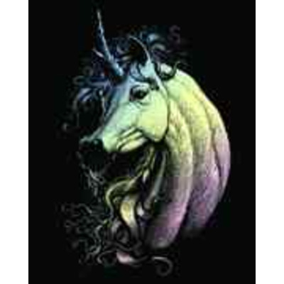 Proud Unicorn Magic A4 Holographic Scraper Foil Engraving Art Kit