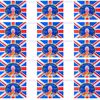 CORONATION 3.6M RAYON BUNTING  WITH 8 20X13CM FLAGS - four-packs-48ft