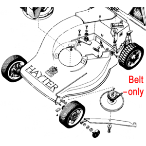 Hayter Hunter 54 Drive Belt 331019