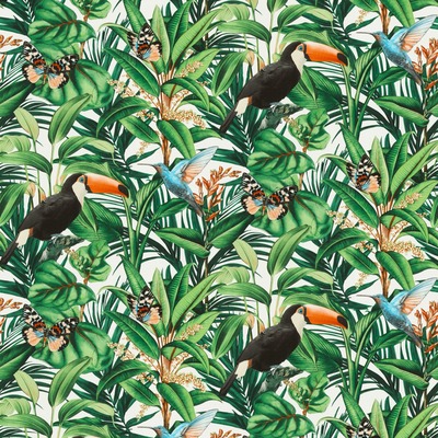 Paradisio 2 Jungle Birds Wallpaper White Erismann 10121-07