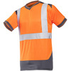 Click to view product details and reviews for Sioen Rupa 3875 High Vis Orange T Shirt.