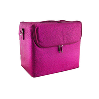 Red Spot Beauty Case Cerise Sparkle