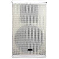 Cuba Active 10" Speakers with DSP and Bluetooth