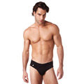 Gregg Homme Mood Brief