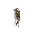 Click to view product details and reviews for Small Green Woodpecker Bird Brooch In Silver Coral And Amber Default Title.