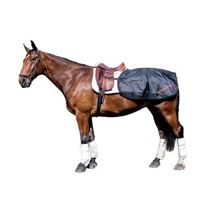 Back on Track® Equine/Horse Loin Rug/Quarter Sheet - 135cm Black