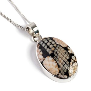 Snakeskin Wrasse Fossil Necklace Natural Designer Gemstone 16 42cm