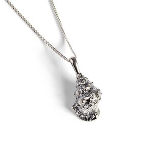 Nutmeg Sea Shell Necklace In Silver 16 42cm