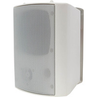 100 Volt Background Speaker (Pair) - 5.25" White