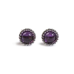 Rope Edge Stud Earrings In Silver And Amethyst Default Title