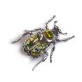 Click to view product details and reviews for Noble Chafer Beetle Brooch In Silver And Green Amber Default Title.