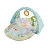 Fisher Price Butterfly Dreams Musical Playtime Gym - 43.00 Fisher Price Butterfly Dreams Musical Playtime Gym