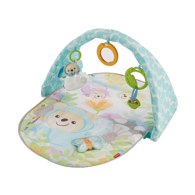 Fisher Price Butterfly Dreams Musical Playtime Gym