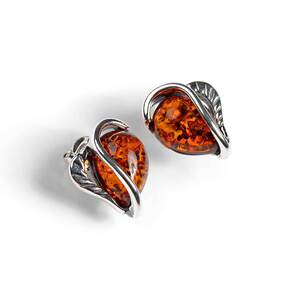 Cognac Amber Stud Earrings Set In Silver Default Title