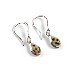 Teardrop Hook Earrings In Silver And Dalmatian Jasper Default Title
