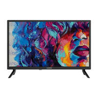 Blaupunkt 24" HD Ready LED TV With Freeview BN24H1372EEB