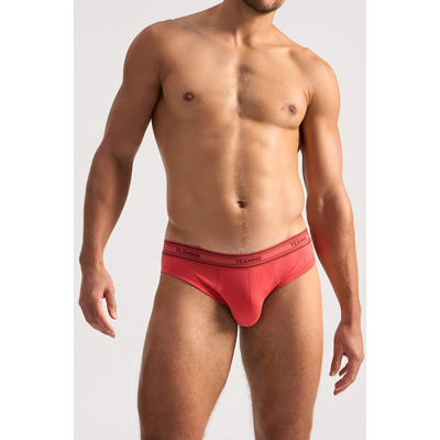Click to view product details and reviews for Teamm8 Cotton Classic Brief Raspberry.