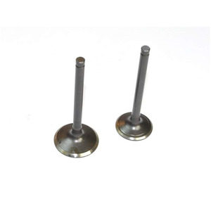 Pit Bike Valves Engine Valves Yx150 Yx160