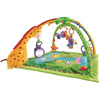 Fisher-Price Rainforest Gym - 64.00 Fisher-Price Rainforest Gym