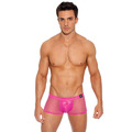 Gregg Homme Beyond Doubt Boxer Brief