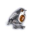 Click to view product details and reviews for Robin Brooch In Silver And Amber Default Title.