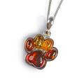 Click to view product details and reviews for Paw Print Necklace In Silver And Amber 20 51cm.