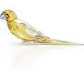 Click to view product details and reviews for Swarovski Jungle Beats Yellow Parakeet Lechee 5619217.