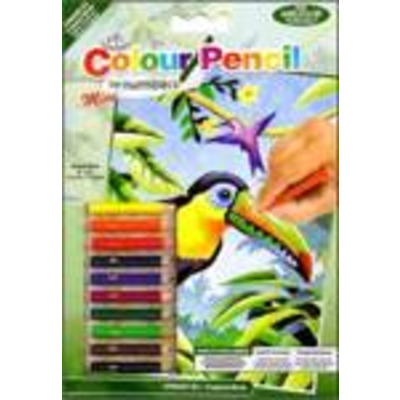 Mini Pencil by Numbers Kit - Tropical Birds - Age 8+