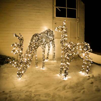 Christmas Grazing Reindeer and Doe Outdoor Light Set