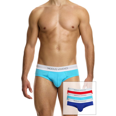 Click to view product details and reviews for Modus Vivendi 100 Cotton Staple Brief 3 Pack.