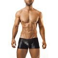 Joe Snyder Black Pearl Boxer 08