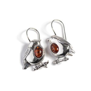 Robin Hook Earrings In Silver And Amber Default Title