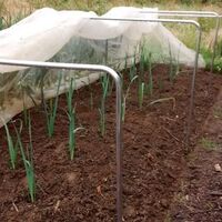 Garden Hoops, Aluminium Square
