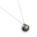 Click to view product details and reviews for Sea Shell Seashell Necklace In Silver 16 42cm.