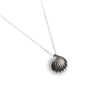 Sea Shell Seashell Necklace In Silver 16 42cm